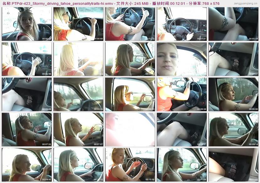 ptpdr-423_Stormy_driving_tahoe_personalitytraits